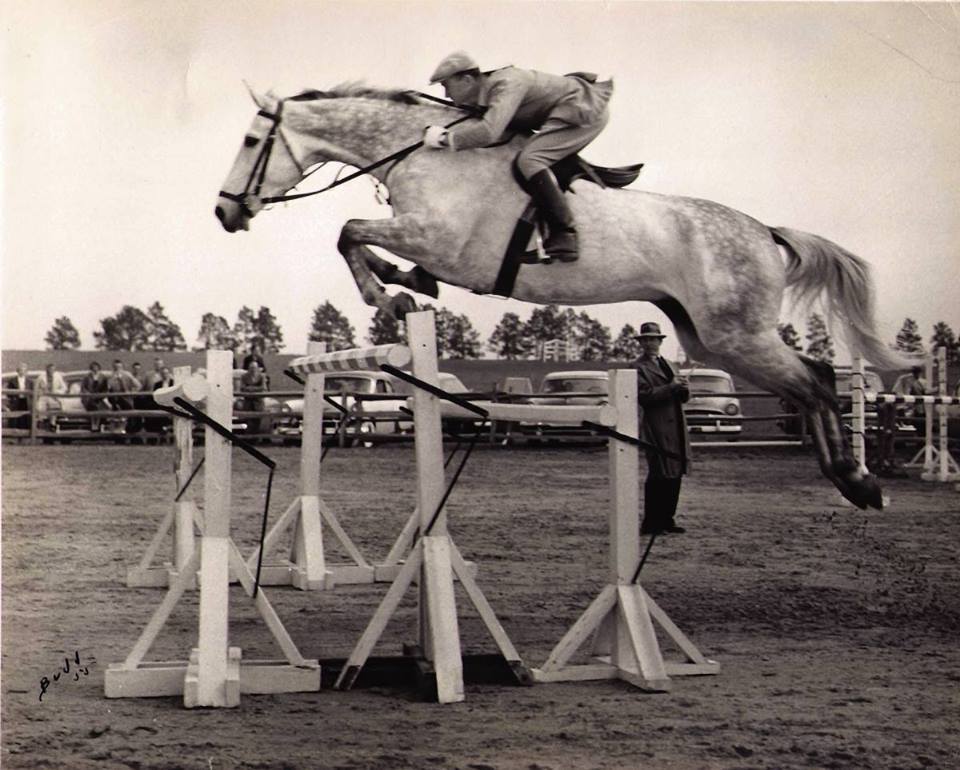 Gabor Nicholas Folteny - Hungarian Showjumper